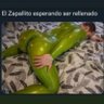 Фото профиля boligento