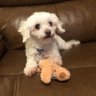 Tater’s Mom's profile picture