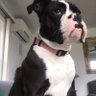 Profilbild von Lola