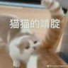 岁岁小寒's profile picture