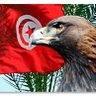 Samir M's profile picture