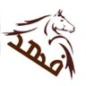 🇸🇦 AMR 🇸🇦 profil fotoğrafı