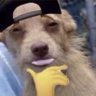 Franco's profile picture
