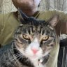 トモリン profil fotoğrafı
