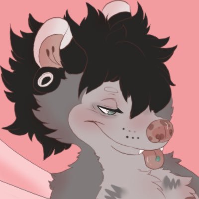 Punkopossums1's profile picture