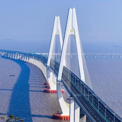 MeetZhoushan's profile picture