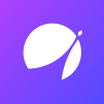 Profilbild von APX Finance