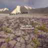 Reverie profil fotoğrafı