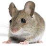 Profilbild von William Foster