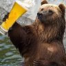 Sir GBear of the burgh.'s profile picture
