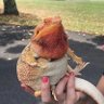 towerofshadow's profile picture