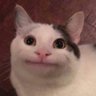 Ace's profile picture