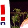Gérard Guetta's profile picture
