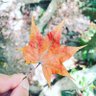 奧陌陌 profil fotoğrafı