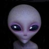 ALiEN's profile picture