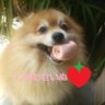 道楽檸檬(ドラえもん)'s profile picture