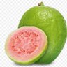 Goiabaverde🍈🐺 的头像