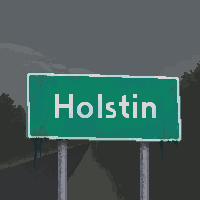 Holstin's profile picture