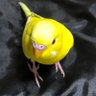 Profilbild von ゆり