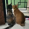 HakunaMatata's profile picture