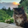 Reinhard Stompe profil fotoğrafı