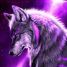 Profilbild von Siberia_95