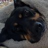 Profilbild von Ben