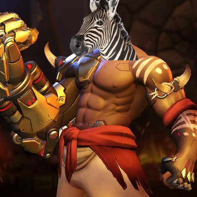 zbra_ow's profile picture