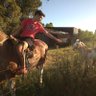 Lautaro Sironi's profile picture