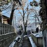 本読み太郎 profil fotoğrafı