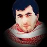 يحيا يحيى's profile picture
