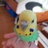 Profilbild von スミヨン