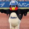 ほっぷ profil fotoğrafı