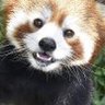TS-JAPAN's profile picture