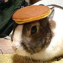 Jim's Wheels's profile picture
