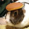Jim's Wheels 的头像