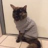 みいまり profil fotoğrafı