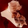 abu Mohammad Al saydi's profile picture