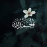 Фото профиля Waleed Ali