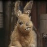 Фото профиля Hartley Hare