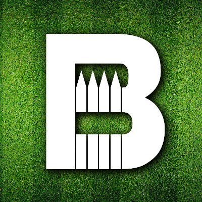 backyardbreaks_'s profile picture