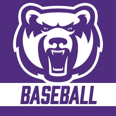UCA Baseball's profile picture