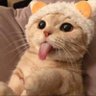 Profilbild von 可愛也可壞