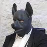 Dav Ophois profil fotoğrafı