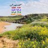 عبدالهادي profil fotoğrafı