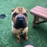 TK profil fotoğrafı