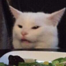 Emotional Support Burrito's profile picture
