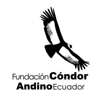 CondorFundacion's profile picture