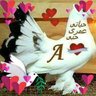 ايمن عمران's profile picture