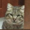 massimiliano's profile picture